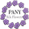 Panysilkny